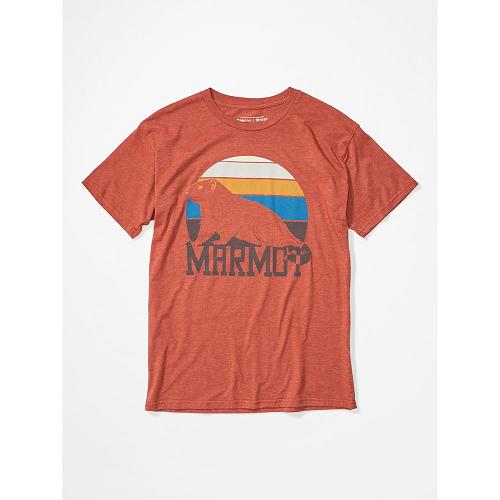 Marmot Dawning Clothes - Mens T-Shirts Multicolor CA4981273 Canada